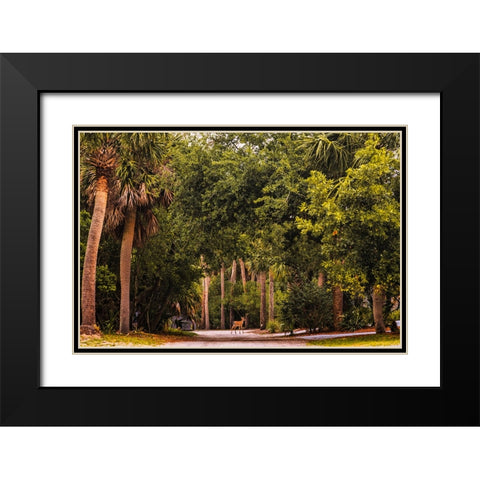 Deer Canopy Black Modern Wood Framed Art Print with Double Matting by Malone, Will