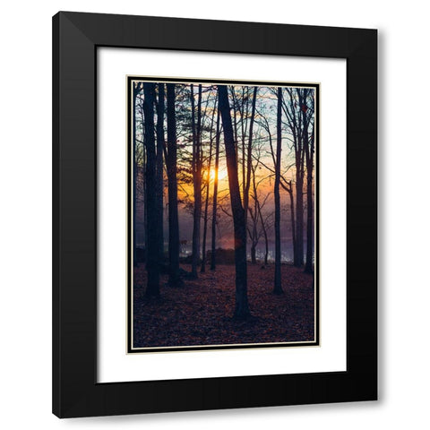 Foggy Sunrise Vert Black Modern Wood Framed Art Print with Double Matting by Malone, Will