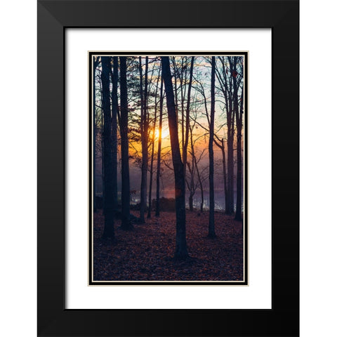 Foggy Sunrise Vert Black Modern Wood Framed Art Print with Double Matting by Malone, Will