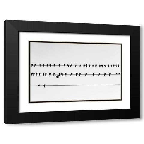 Get in Line Watermark Black Modern Wood Framed Art Print with Double Matting by Malone, Will