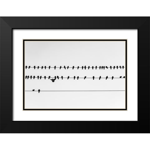 Get in Line Watermark Black Modern Wood Framed Art Print with Double Matting by Malone, Will