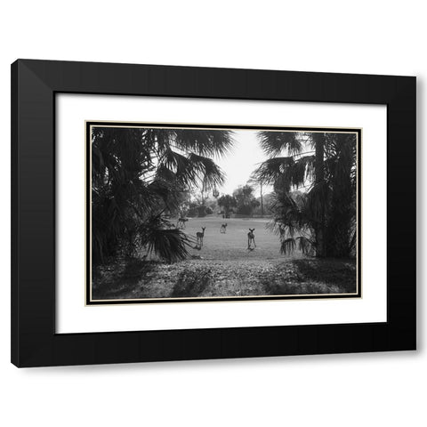 Hey Black Modern Wood Framed Art Print with Double Matting by Malone, Will