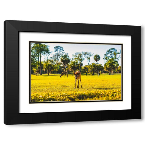Hi Black Modern Wood Framed Art Print with Double Matting by Malone, Will