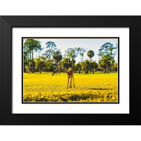 Hi Black Modern Wood Framed Art Print with Double Matting by Malone, Will