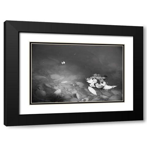 Leaves Black Modern Wood Framed Art Print with Double Matting by Malone, Will