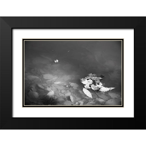 Leaves Black Modern Wood Framed Art Print with Double Matting by Malone, Will
