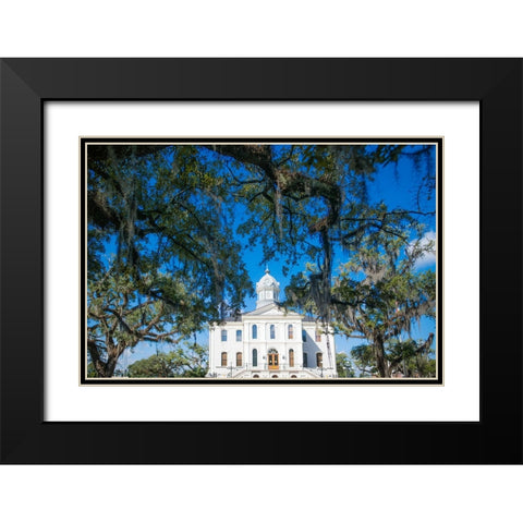 Live Oak Courthouse Black Modern Wood Framed Art Print with Double Matting by Malone, Will