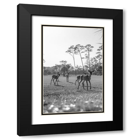 Make Way Black Modern Wood Framed Art Print with Double Matting by Malone, Will