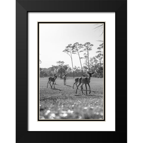 Make Way Black Modern Wood Framed Art Print with Double Matting by Malone, Will