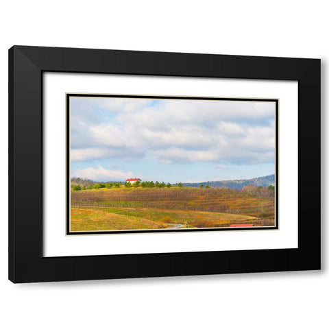 Merciers 2 Black Modern Wood Framed Art Print with Double Matting by Malone, Will