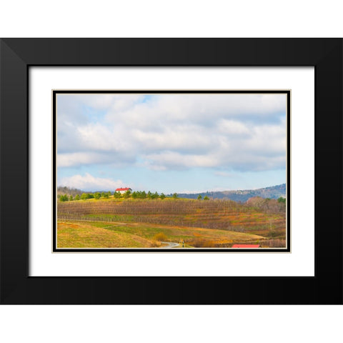 Merciers 2 Black Modern Wood Framed Art Print with Double Matting by Malone, Will