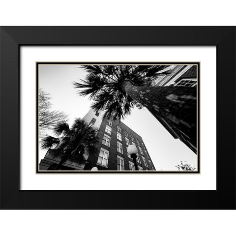 Metro Palm Black Modern Wood Framed Art Print with Double Matting by Malone, Will