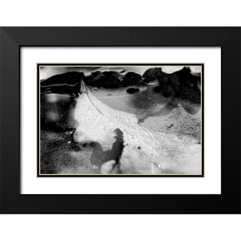 Monochrome Fall Black Modern Wood Framed Art Print with Double Matting by Malone, Will