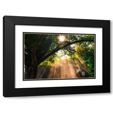 Morning Sunlight Horizontal Black Modern Wood Framed Art Print with Double Matting by Malone, Will