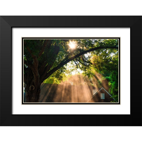 Morning Sunlight Horizontal Black Modern Wood Framed Art Print with Double Matting by Malone, Will