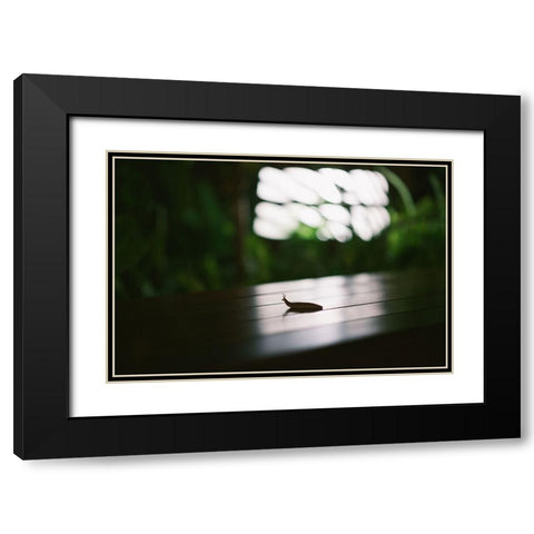 Nightlife snail Black Modern Wood Framed Art Print with Double Matting by Malone, Will