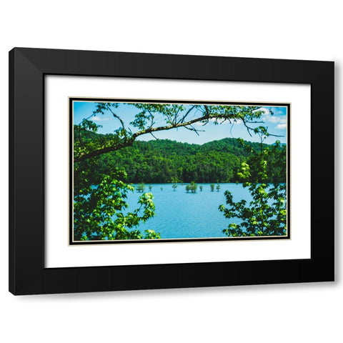 Ocoee Summer Black Modern Wood Framed Art Print with Double Matting by Malone, Will