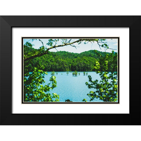 Ocoee Summer 2 Black Modern Wood Framed Art Print with Double Matting by Malone, Will