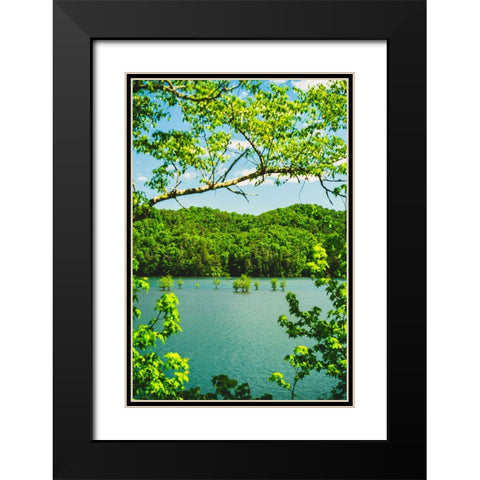 Ocoee Summer 2 Vertical Black Modern Wood Framed Art Print with Double Matting by Malone, Will