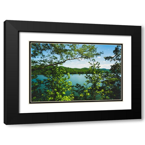 Ocoee Summer 3 Black Modern Wood Framed Art Print with Double Matting by Malone, Will