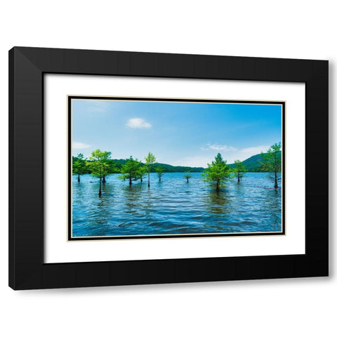 Ocoee Summer 4 Black Modern Wood Framed Art Print with Double Matting by Malone, Will