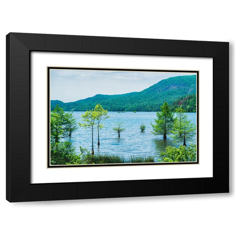 Ocoee Summer 6 Black Modern Wood Framed Art Print with Double Matting by Malone, Will