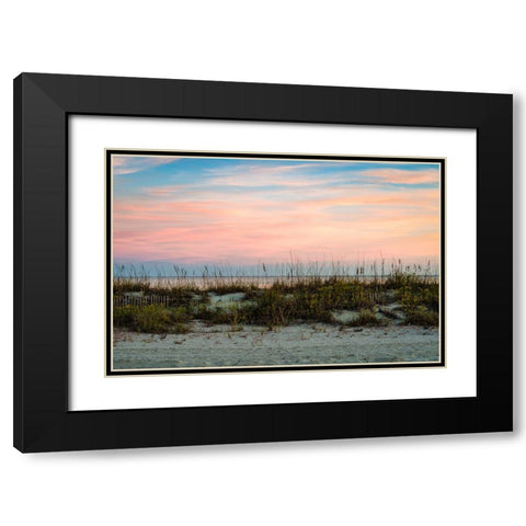 Over the Fence 2 Black Modern Wood Framed Art Print with Double Matting by Malone, Will