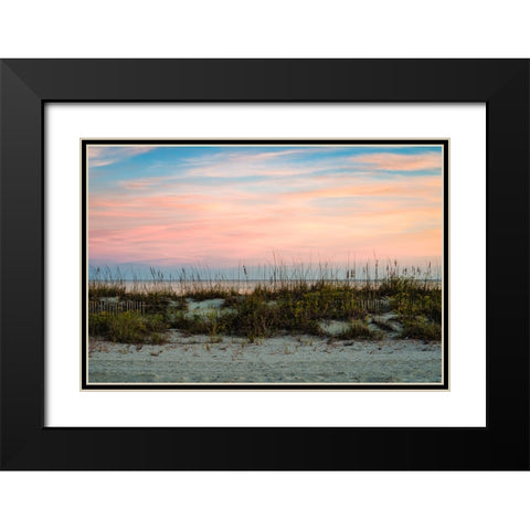 Over the Fence 2 Black Modern Wood Framed Art Print with Double Matting by Malone, Will