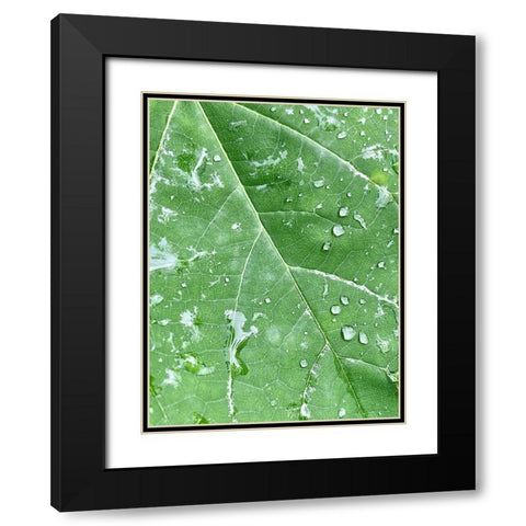RainVein Black Modern Wood Framed Art Print with Double Matting by Malone, Will