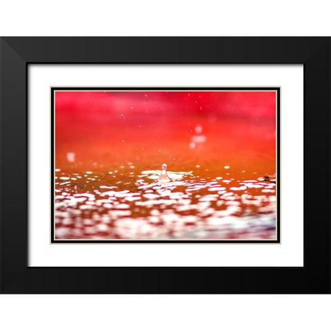 Red Black Modern Wood Framed Art Print with Double Matting by Malone, Will