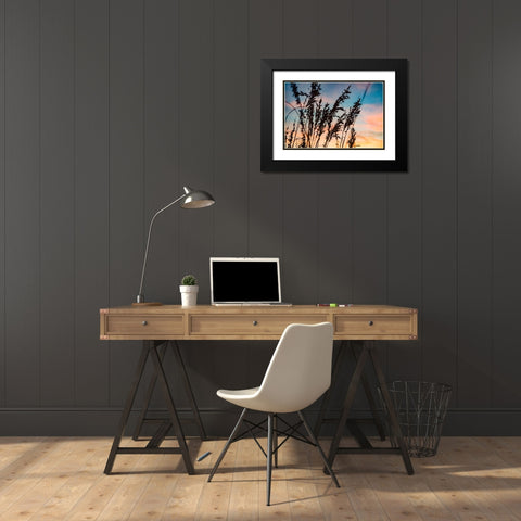 Shadow Grass Black Modern Wood Framed Art Print with Double Matting by Malone, Will