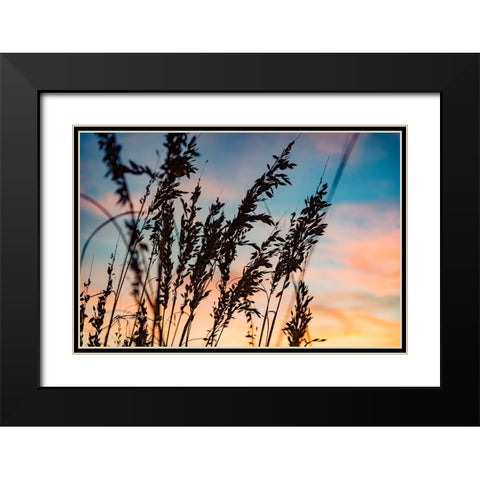 Shadow Grass Black Modern Wood Framed Art Print with Double Matting by Malone, Will