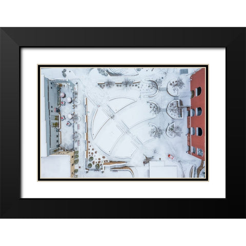 Snow Wren Black Modern Wood Framed Art Print with Double Matting by Malone, Will