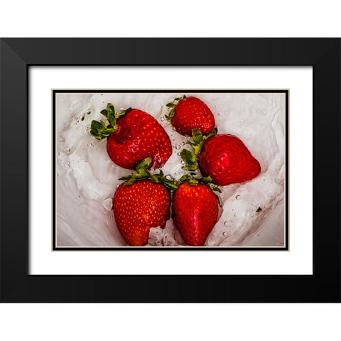 Strawberry Dance 2 Black Modern Wood Framed Art Print with Double Matting by Malone, Will