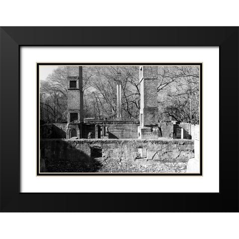 Tanglewood 1 Black Modern Wood Framed Art Print with Double Matting by Malone, Will