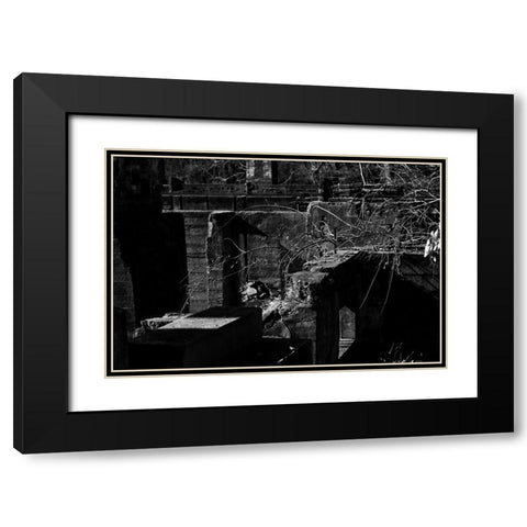 Tanglewood 2 Black Modern Wood Framed Art Print with Double Matting by Malone, Will