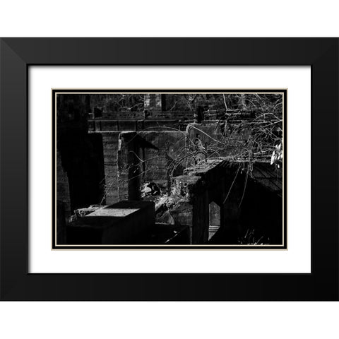 Tanglewood 2 Black Modern Wood Framed Art Print with Double Matting by Malone, Will