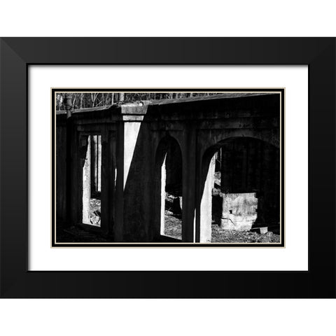 Tanglewood 3 Black Modern Wood Framed Art Print with Double Matting by Malone, Will