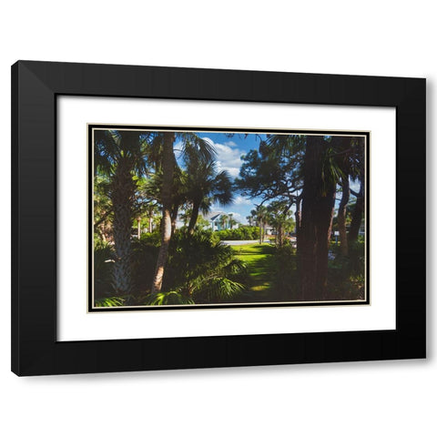 Tarpon Black Modern Wood Framed Art Print with Double Matting by Malone, Will