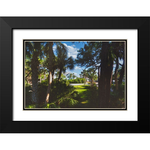 Tarpon Black Modern Wood Framed Art Print with Double Matting by Malone, Will