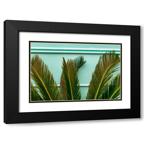 Teal Fern Black Modern Wood Framed Art Print with Double Matting by Malone, Will