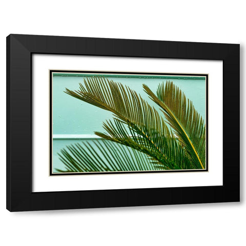 Teal Fern 2 Black Modern Wood Framed Art Print with Double Matting by Malone, Will