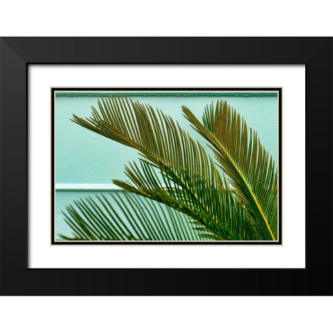Teal Fern 2 Black Modern Wood Framed Art Print with Double Matting by Malone, Will