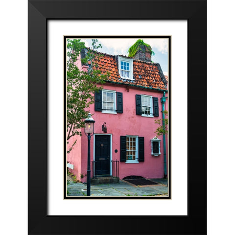 The Pink House Black Modern Wood Framed Art Print with Double Matting by Malone, Will