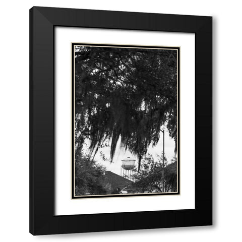 Tree Beard Black Modern Wood Framed Art Print with Double Matting by Malone, Will