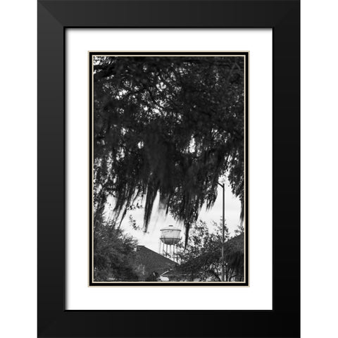 Tree Beard Black Modern Wood Framed Art Print with Double Matting by Malone, Will