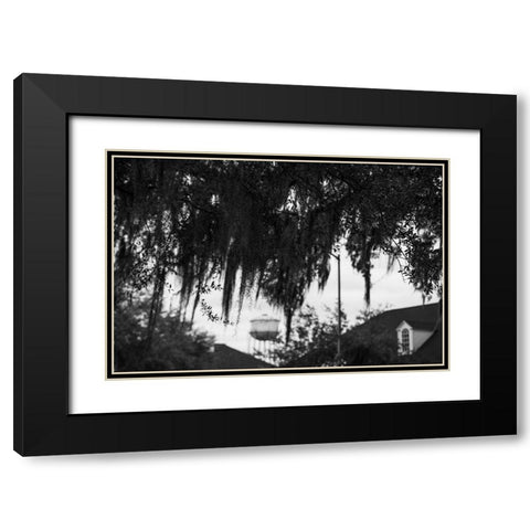Tree Beard 2 Black Modern Wood Framed Art Print with Double Matting by Malone, Will