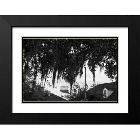 Tree Beard 2 Black Modern Wood Framed Art Print with Double Matting by Malone, Will