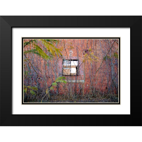 Two Web Black Modern Wood Framed Art Print with Double Matting by Malone, Will