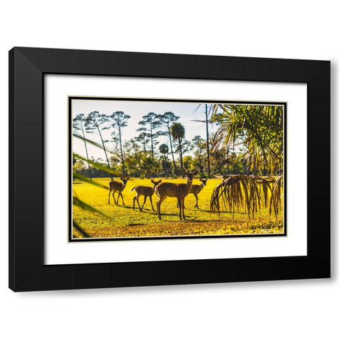 Wassup Black Modern Wood Framed Art Print with Double Matting by Malone, Will